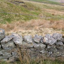 ...this is where the Public Right of Way crosses the boundary wall. No stile, but it is easy to climb over